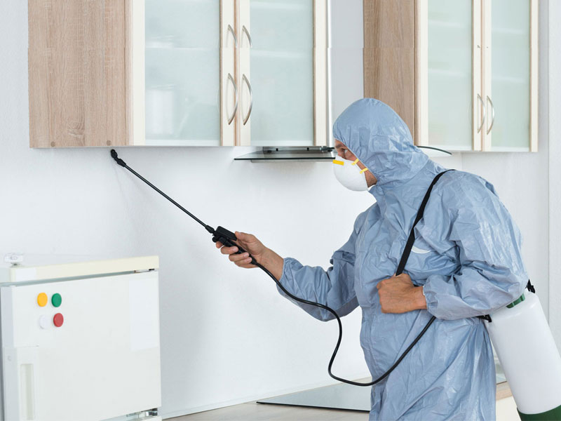 Bảng báo giá dịch vụ diệt côn trùng