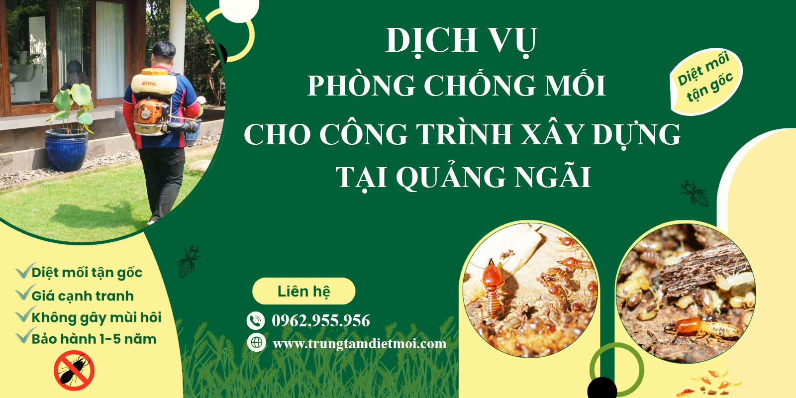 Dịch vụ phòng chống mối cho công trình xây dựng tại Quảng Ngãi - Giải pháp bảo vệ bền vững từ Hoàng Trường