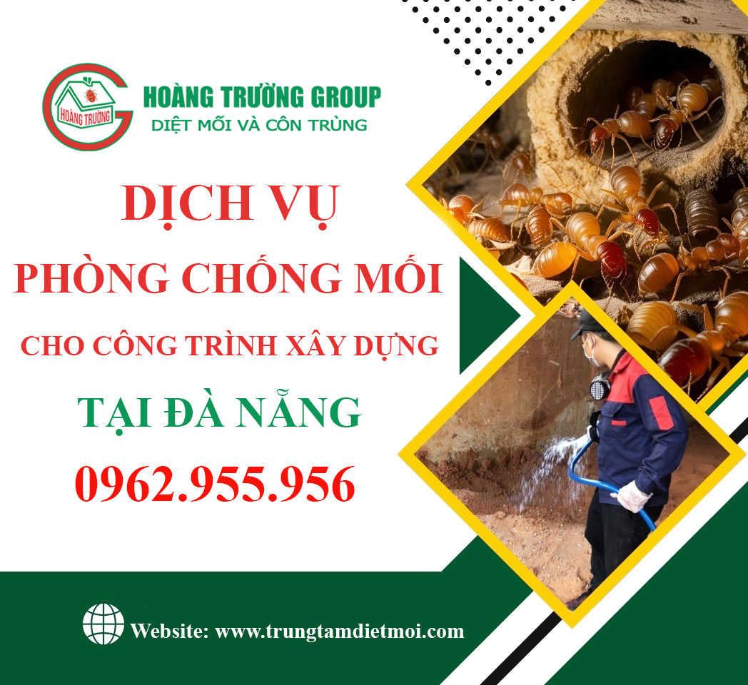 Dịch vụ phòng chống mối cho công trình xây dựng tại Đà Nẵng - Uy tín, hiệu quả, bảo hành dài hạn