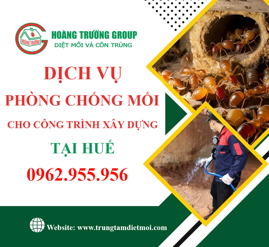 Dịch vụ phòng chống mối cho công trình xây dựng tại Huế - Bảo vệ nền móng vững chắc cùng Hoàng Trường