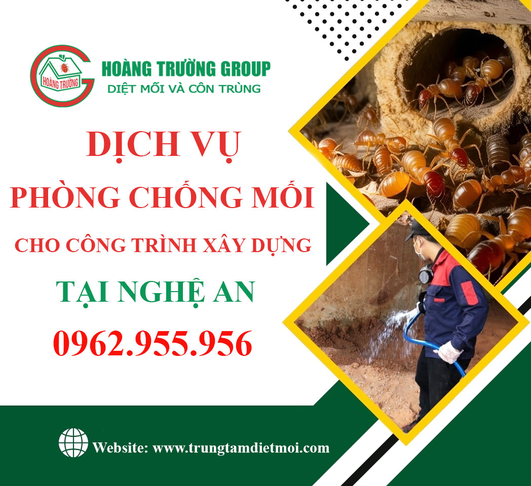 Dịch vụ phòng chống mối cho công trình xây dựng tại Nghệ An - Hoàng Trường uy tín, hiệu quả lâu dài