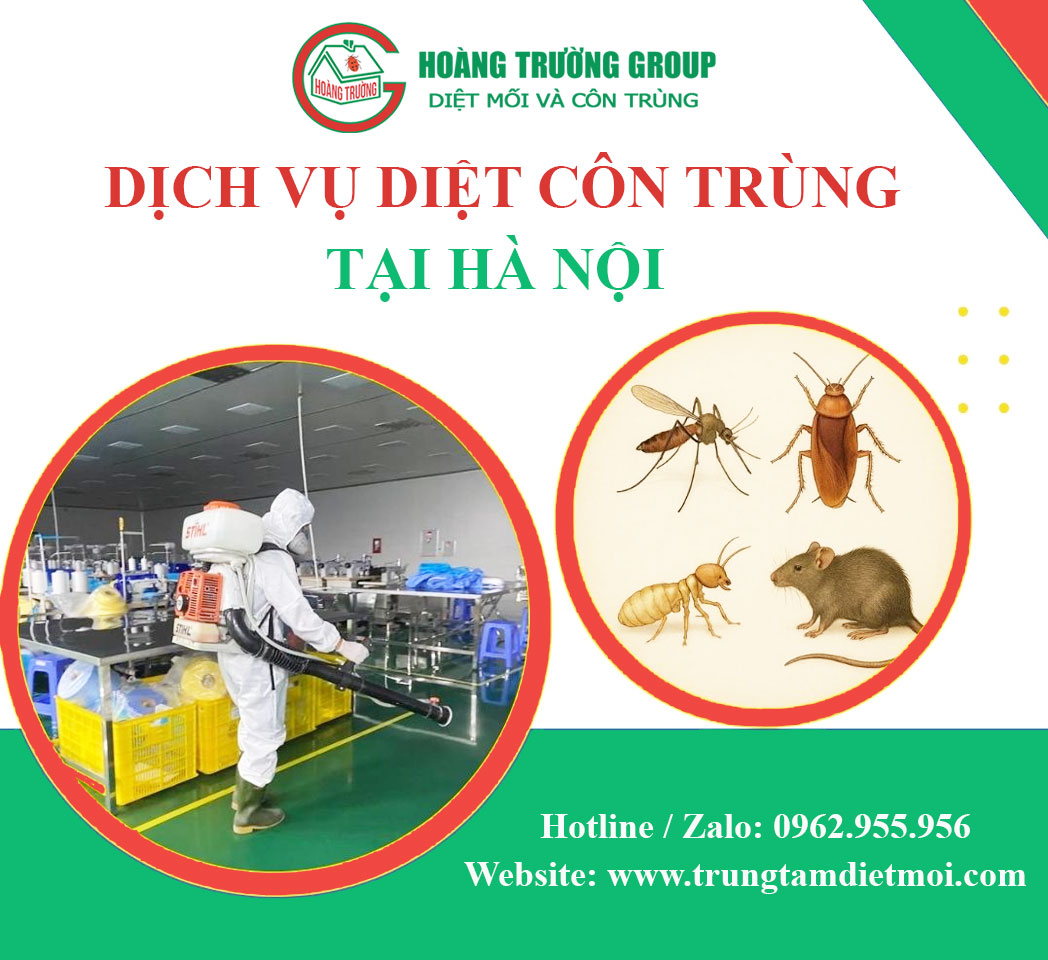Dịch vụ diệt côn trùng tại Hà Nội - Hiệu quả ngay từ lần đầu