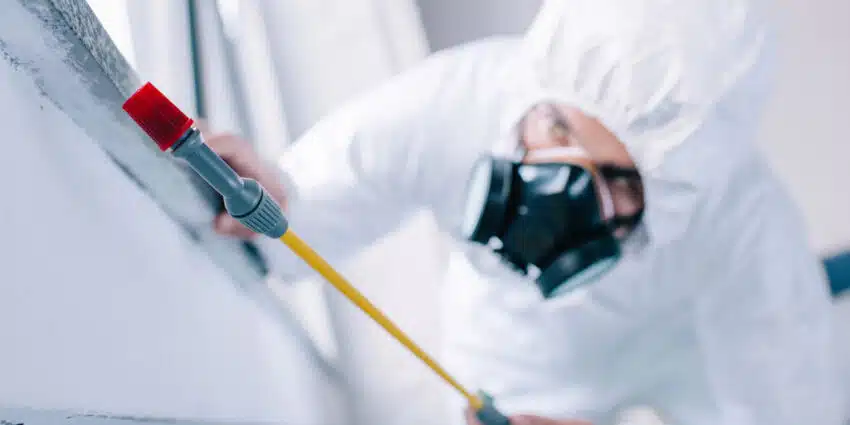Bảng giá diệt côn trùng tại Hải Phòng mới nhất 2025