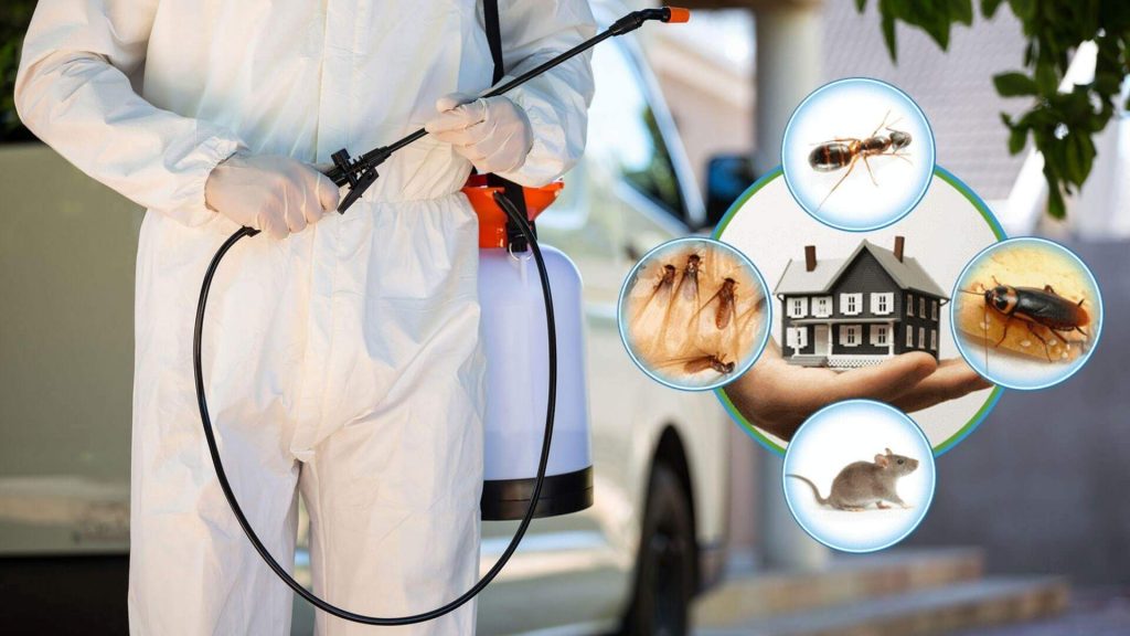 Bảng giá diệt côn trùng tại Hà Nội mới nhất 2025