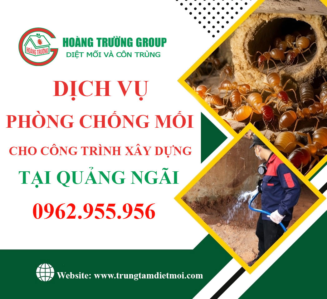 Dịch vụ phòng chống mối cho công trình xây dựng tại Quảng Ngãi - Giải pháp bảo vệ bền vững từ Hoàng Trường