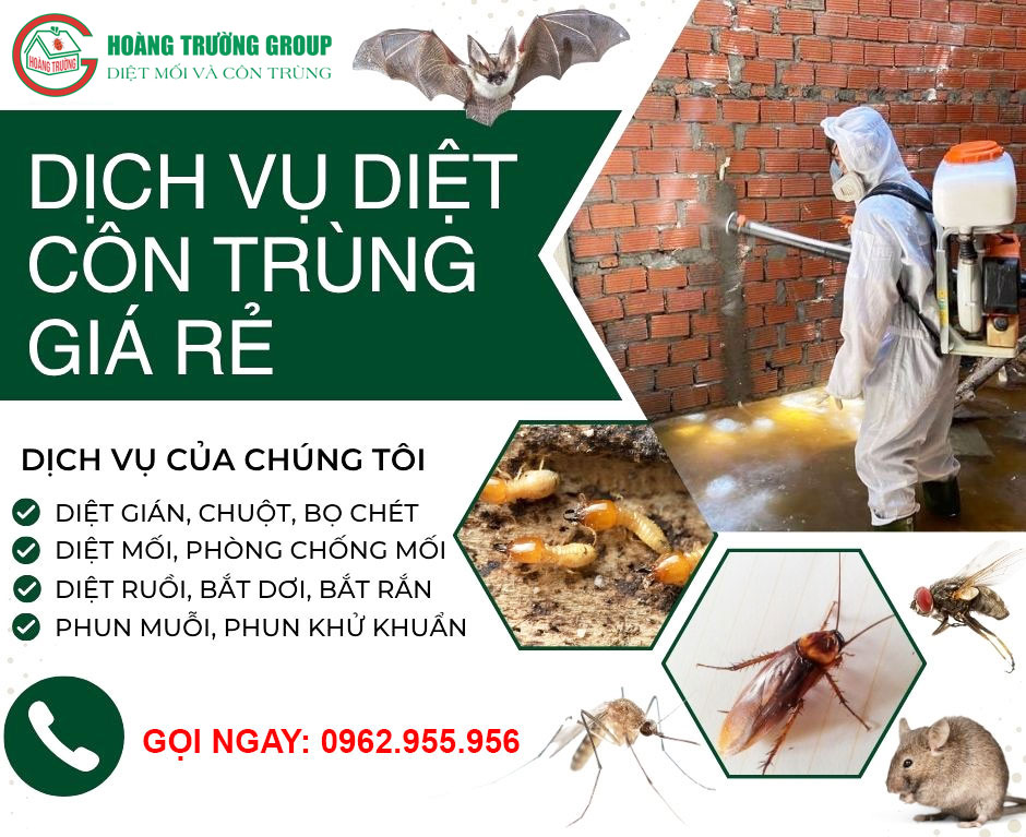 CÔNG TY TNHH DIỆT CÔN TRÙNG HOÀNG TRƯỜNG-1
